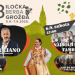 Jeste li ikada bili u berbi grožđa? Ako niste, obavezno posjetite 58. Iločku berbu grožđa!