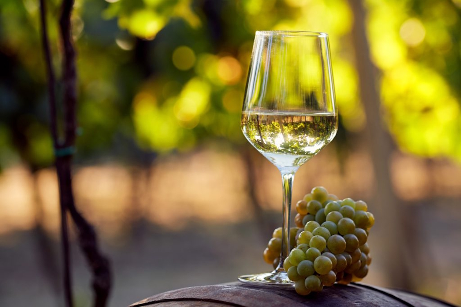 Što učiniti ako vino nakon fermentacije ostane slatko?