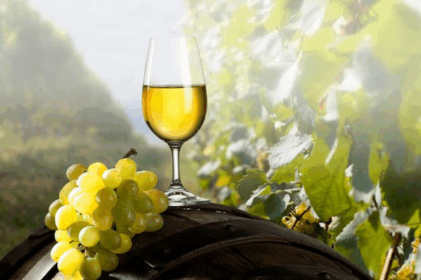 Vrijeme je za pretakanje mladog vina