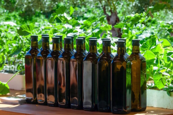 Staklena ambalaža za čuvanje maslinovog ulja