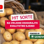 Pogledajte koje su najtraženije sorte krumpira u BiH