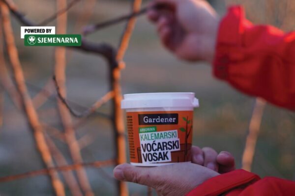 Zašto je bitno koristiti kalemarski vosak?