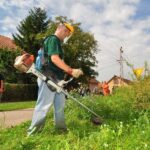 Obveza uklanjanja ambrozije: Što to znači za Hercegovinu?