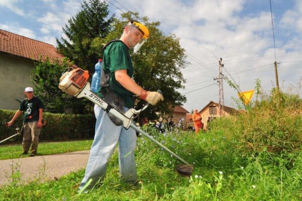 Obveza uklanjanja ambrozije: Što to znači za Hercegovinu?