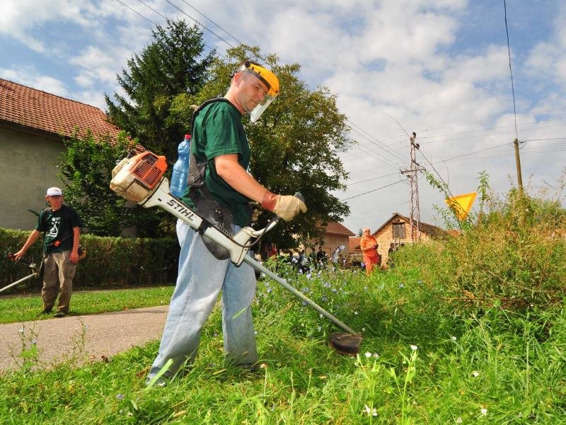 Obveza uklanjanja ambrozije: Što to znači za Hercegovinu?
