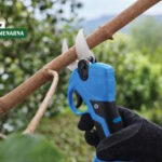 Primjena aku škara i pila u rezidbi voćaka i vinove loze