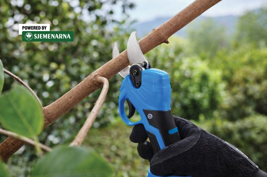 Primjena aku škara i pila u rezidbi voćaka i vinove loze