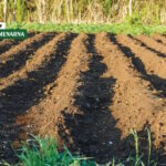 Znate li što su “klikeri” u poljoprivredi?