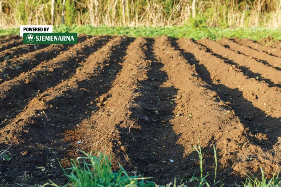 Znate li što su “klikeri” u poljoprivredi?