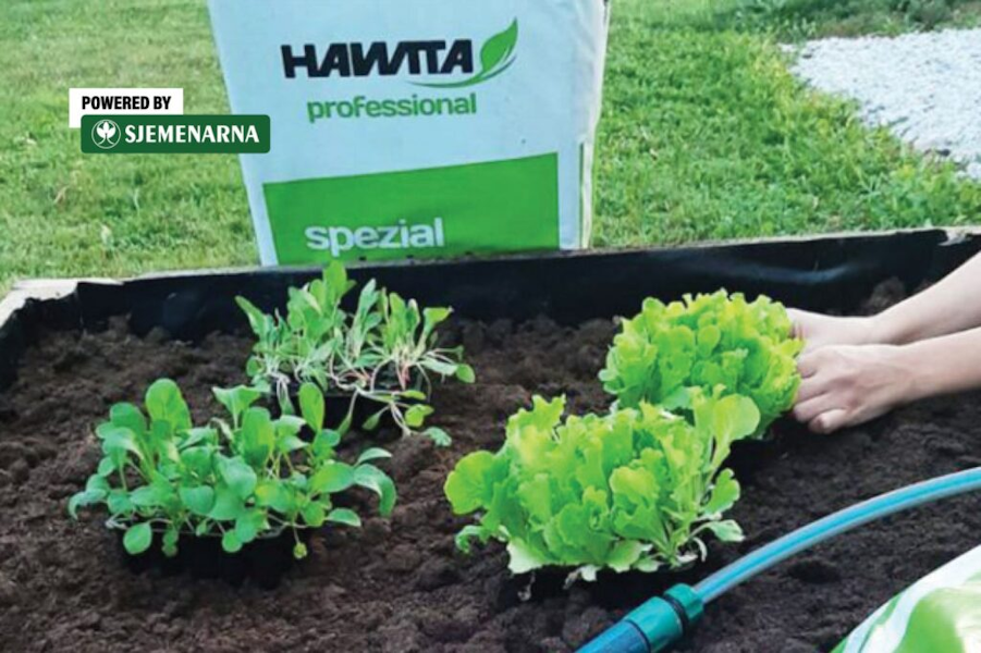 Sjetva i pikiranje povrća i cvijeća počinje dobrim supstratom